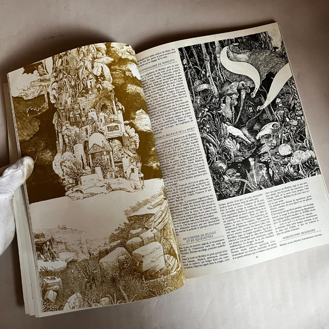 ZOOM　larry burrows