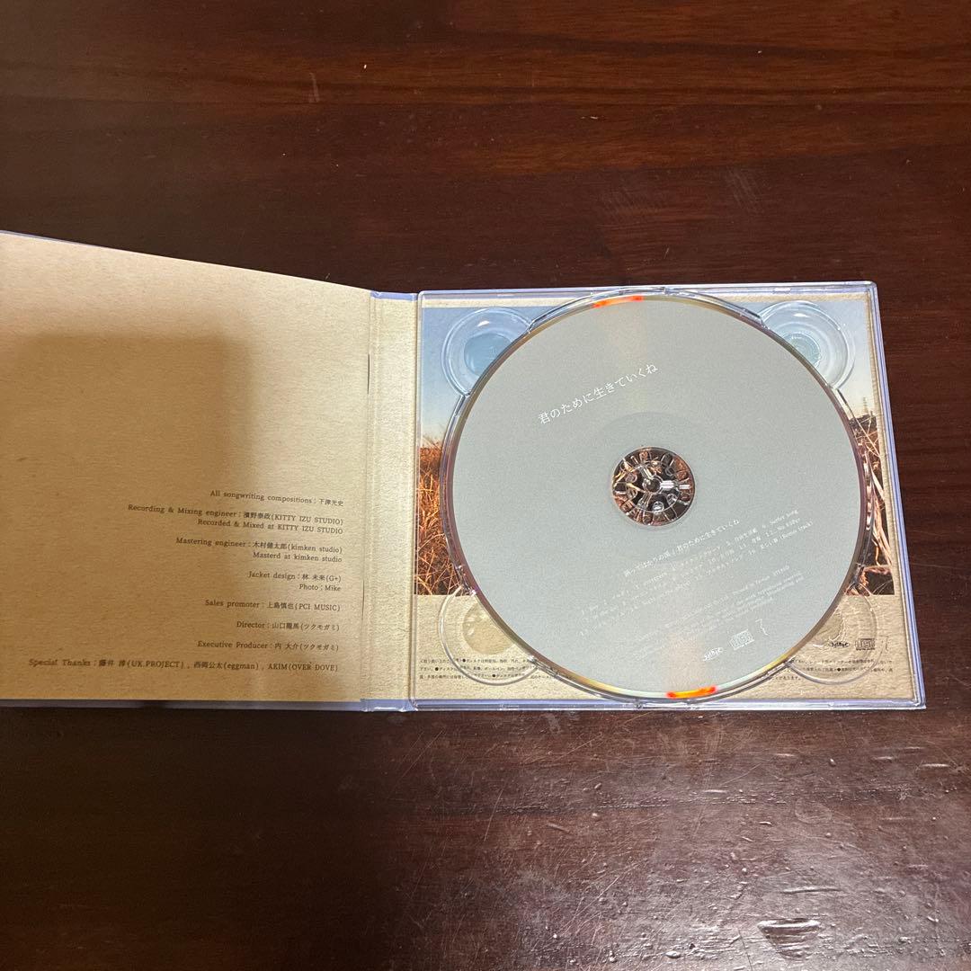 踊ってばかりの国 君のために生きていくね