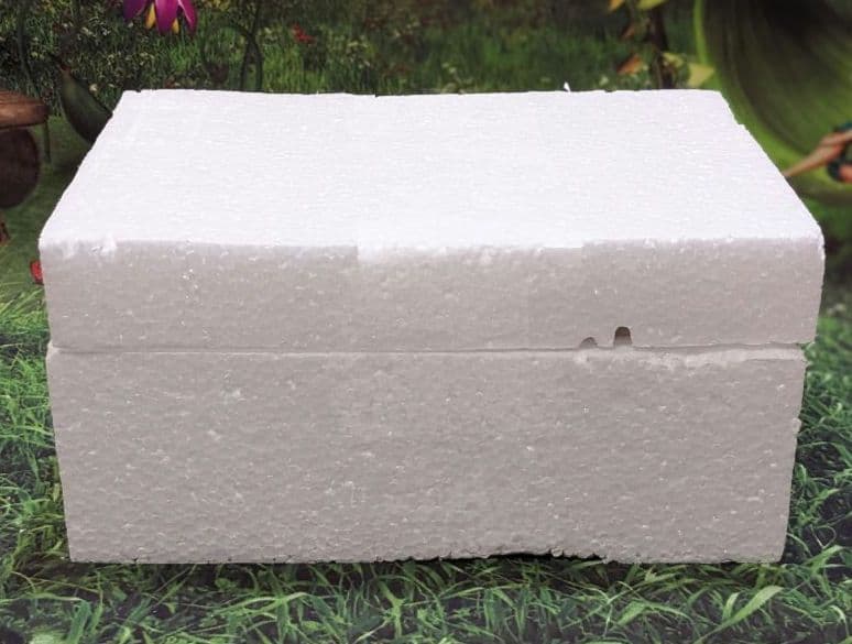 ディズニー　ショーケース　プレシャスモーメンツ　バースデーパレード　シンデレラ