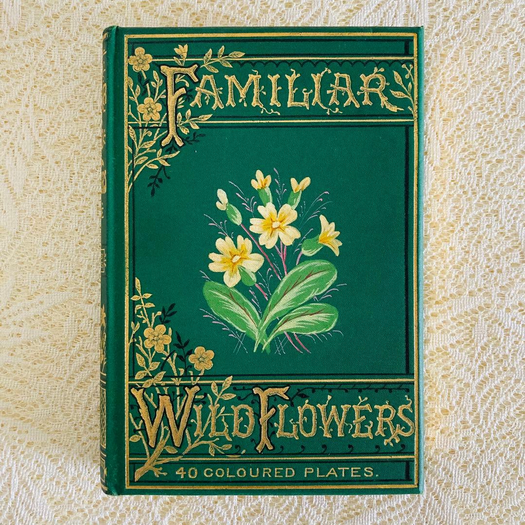 Familiar Wild Flowers　希少なアンティーク植物図鑑　洋書古書