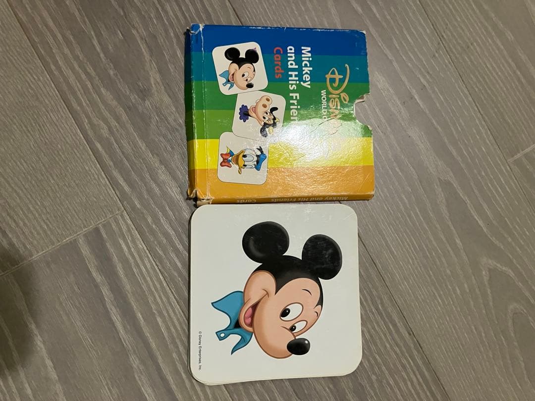 ディズニー英語システム　DWE シングアロングセット