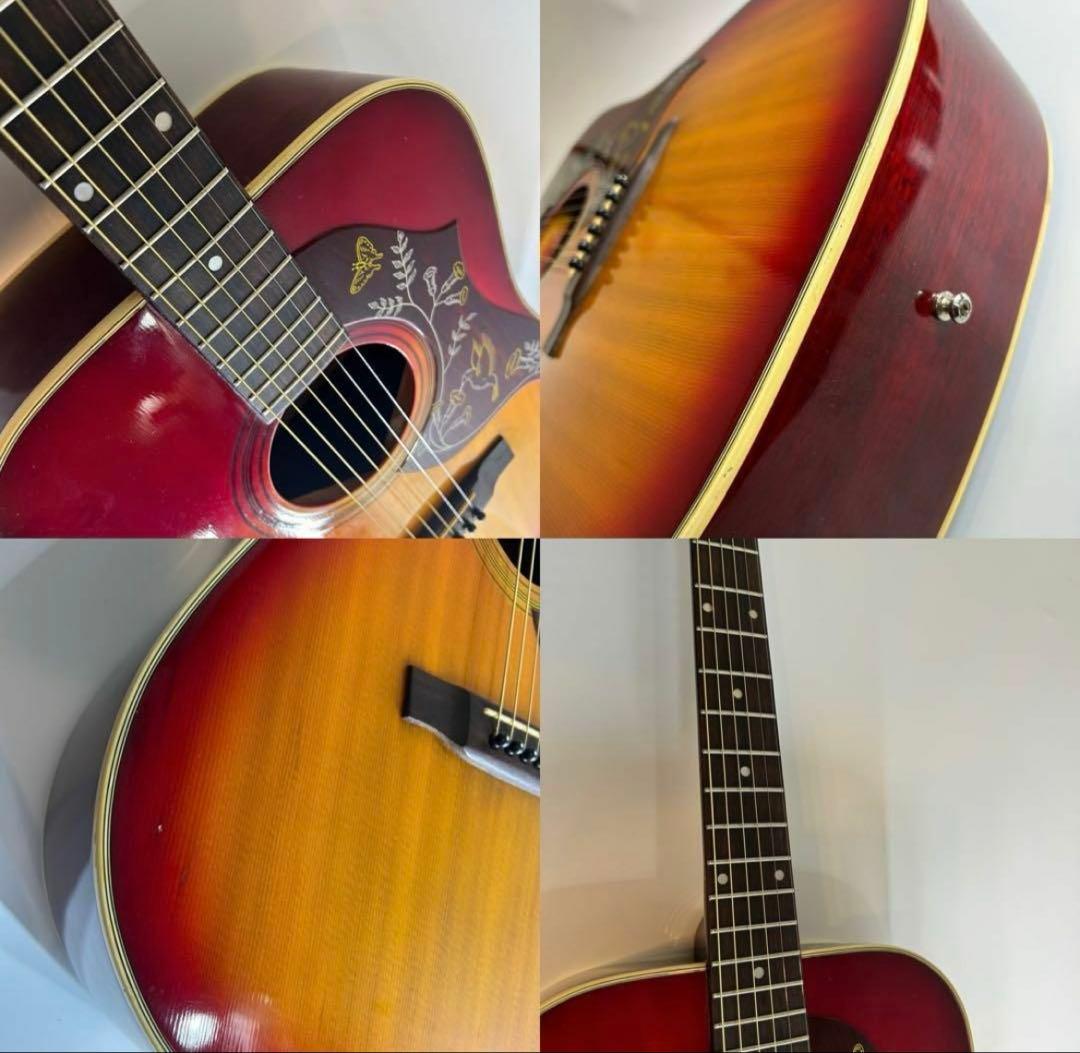 ス*ー様 アコースティックギター　アコギ　Greco【弦・ソフトケース付属】