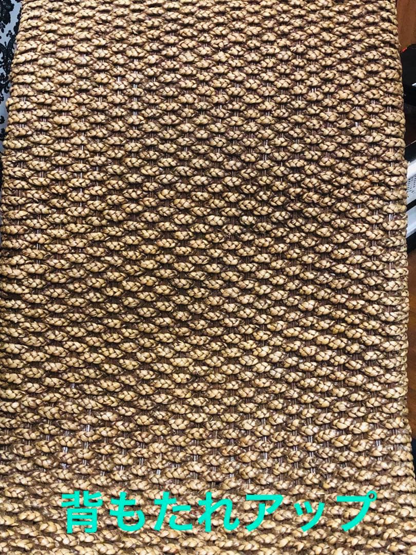 超稀少♦️ウォーターヒヤシンス♦️最高級リゾート　サンベット♦️シェーズロング♦️送料込