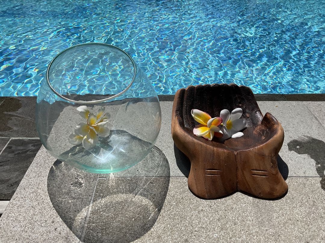 「SALE‼️」 【新入荷】フィッシュボール(天然木ガラス水槽)仏陀の手