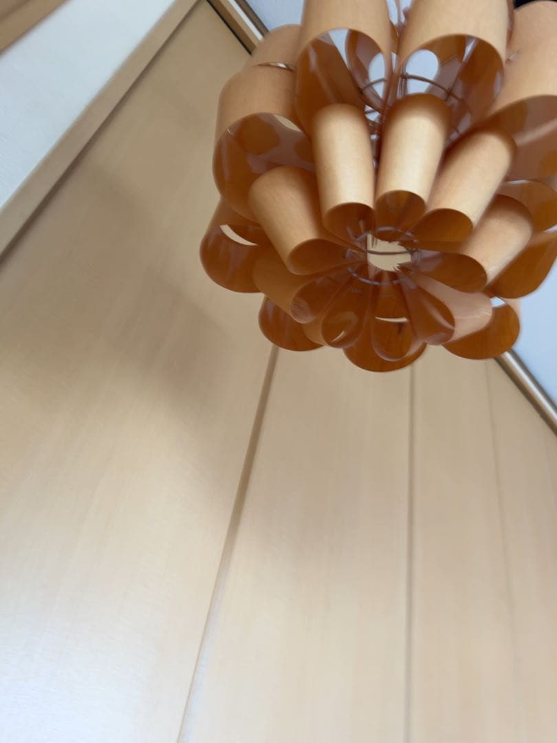 谷俊幸　シーリングライト