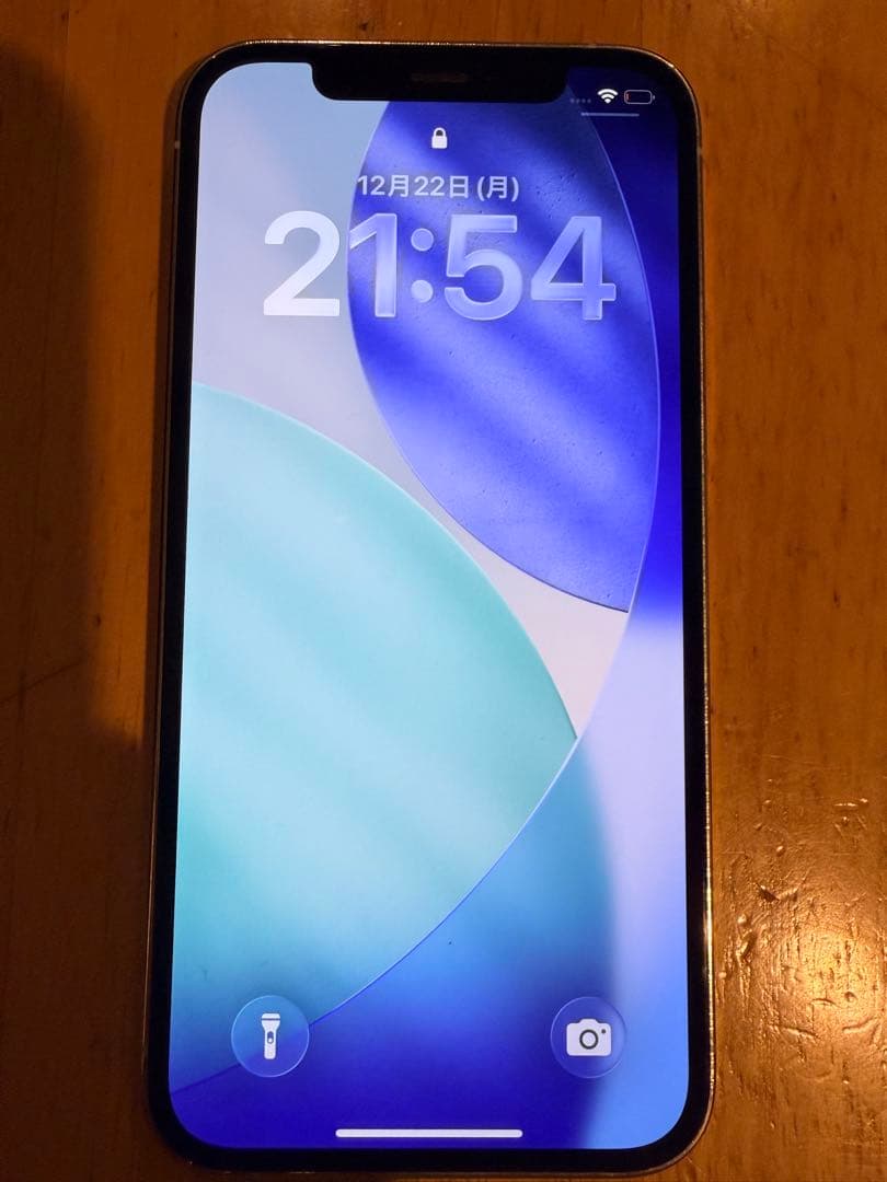 iPhone 12 Pro 256GB ジャンク