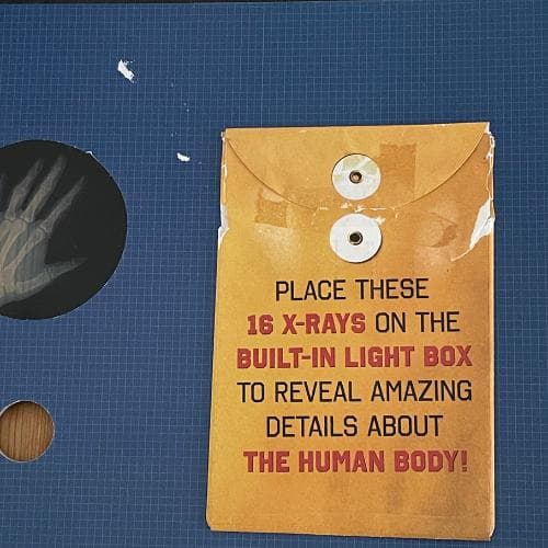 洋書【解剖学・骨格がわかる】レントゲン遊び　AMAZING X-RAYS　人体