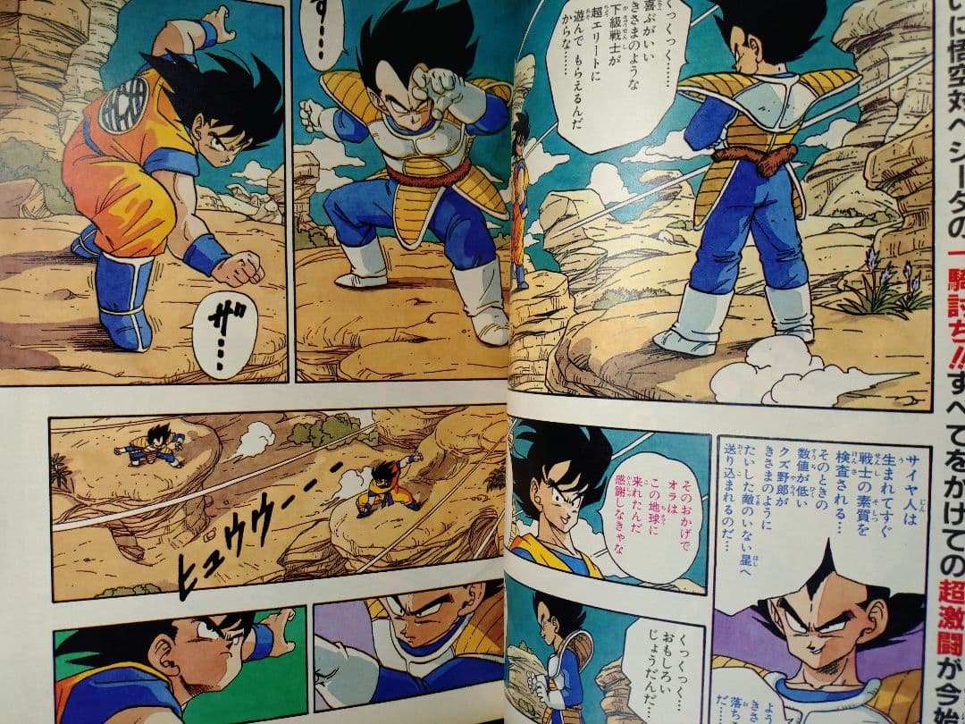 ねこ3冊　週刊少年ジャンプ　ドラゴンボール