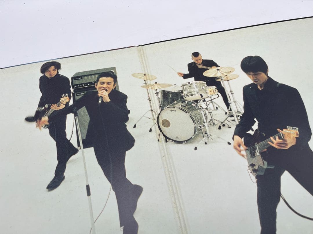 ミッシェルガンエレファント CASANOVA SNAKE レコード LP