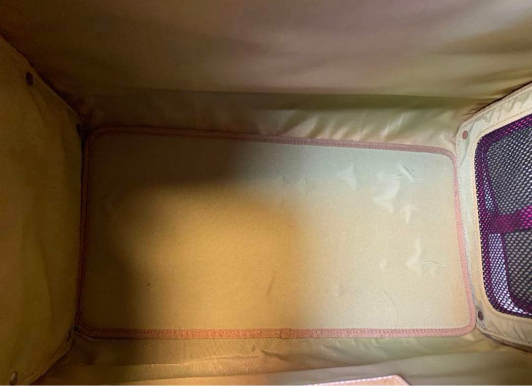 【激レア】Coach キャリーバッグ ペット用　ペットキャリー