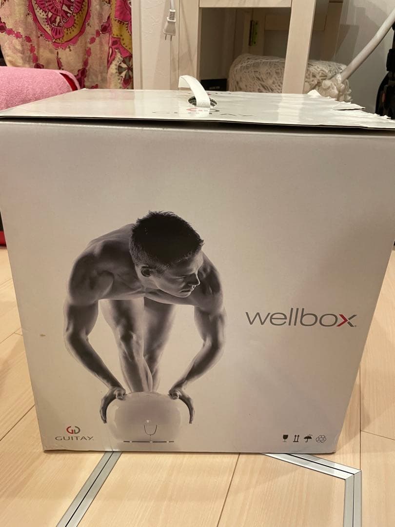 LPG wellbox GUITTAY 美容家電 ホワイト