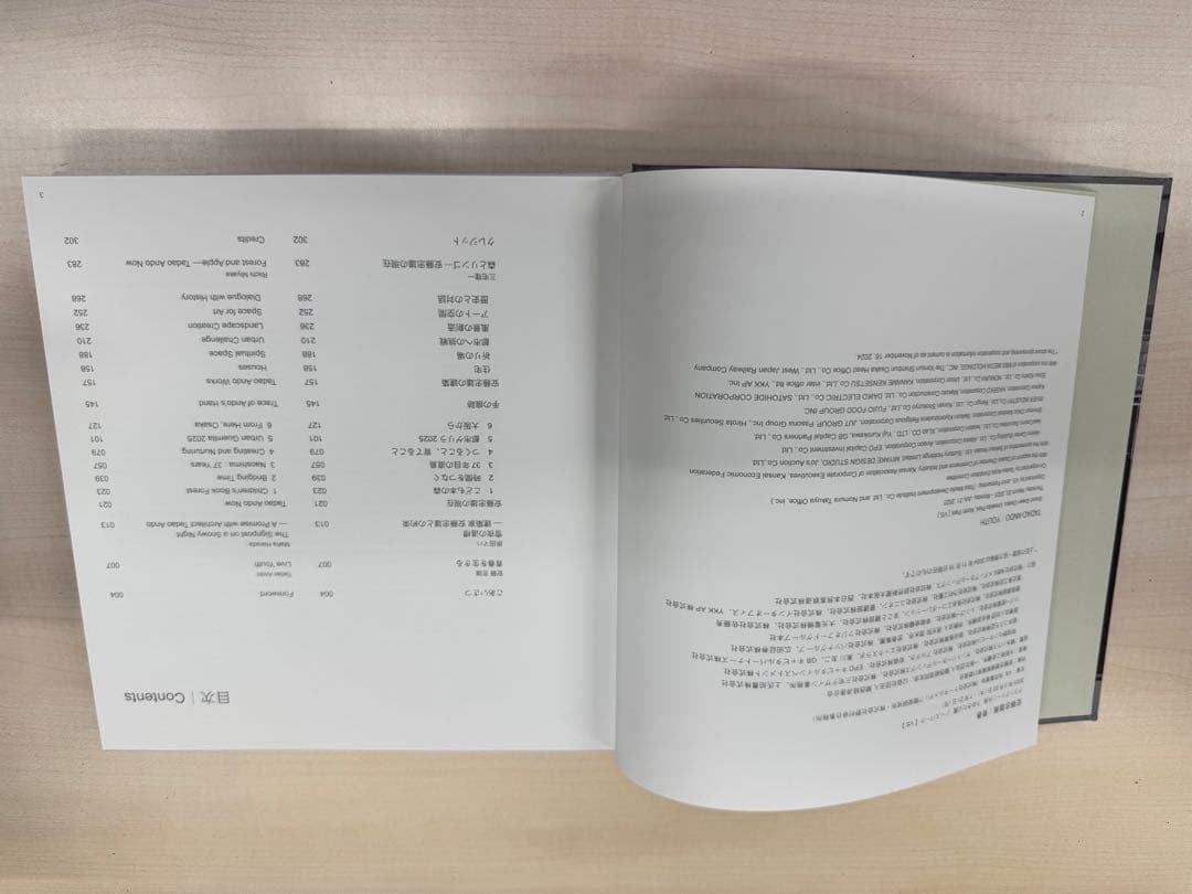 TADAO ANDO YOUTH 安藤忠雄