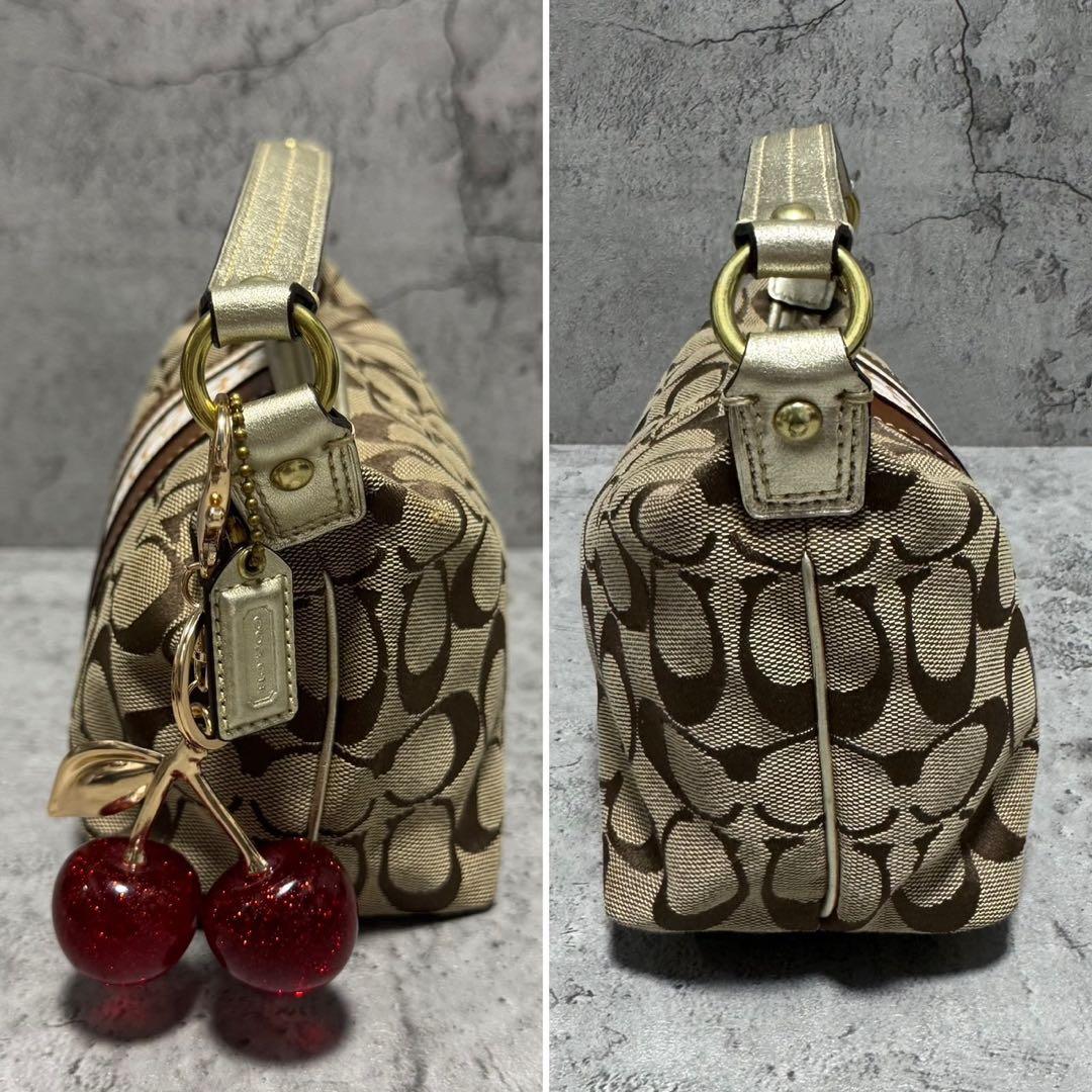 バッグ Coach Y2K Hobo Signature Accessory Pouch