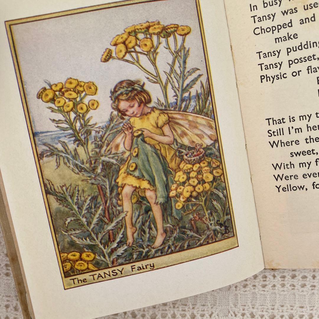 【希少】初版Flower Fairies 道端の花の妖精 洋書 古書