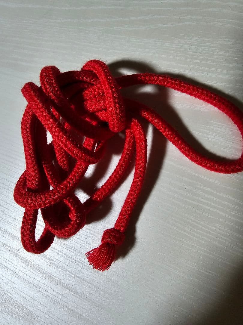 ウマ娘　オグリキャップ　コスプレ衣装　ウィッグ