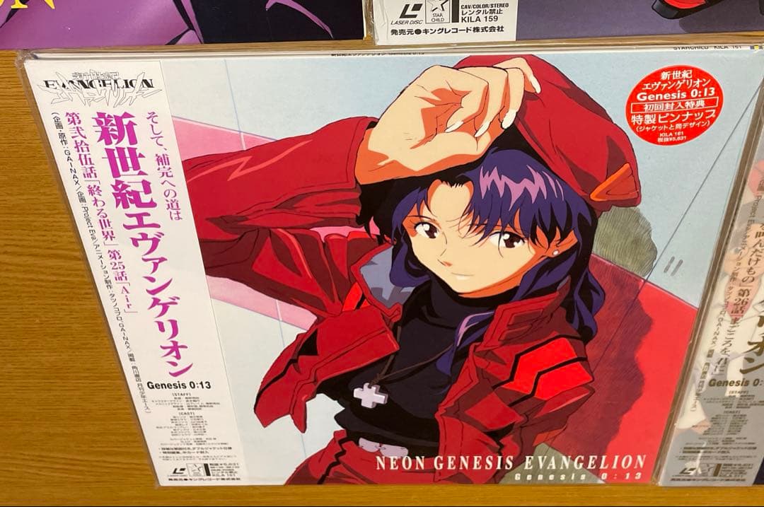 新世紀エヴァンゲリオン LD 劇場版 BOX ＋ TVシリーズ 14枚 完全版