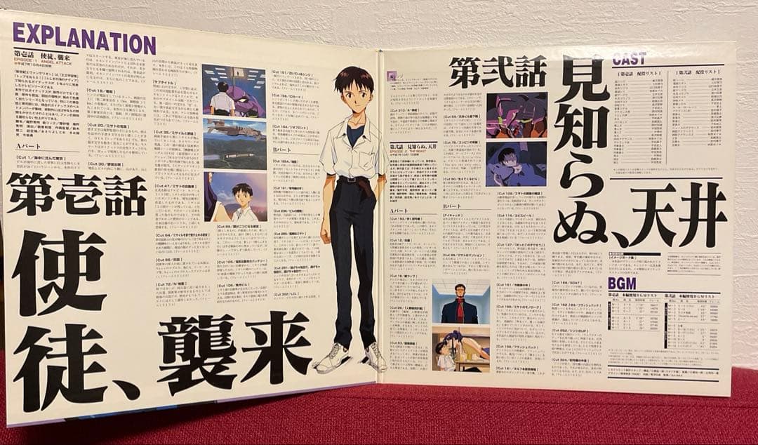 新世紀エヴァンゲリオン LD 劇場版 BOX ＋ TVシリーズ 14枚 完全版