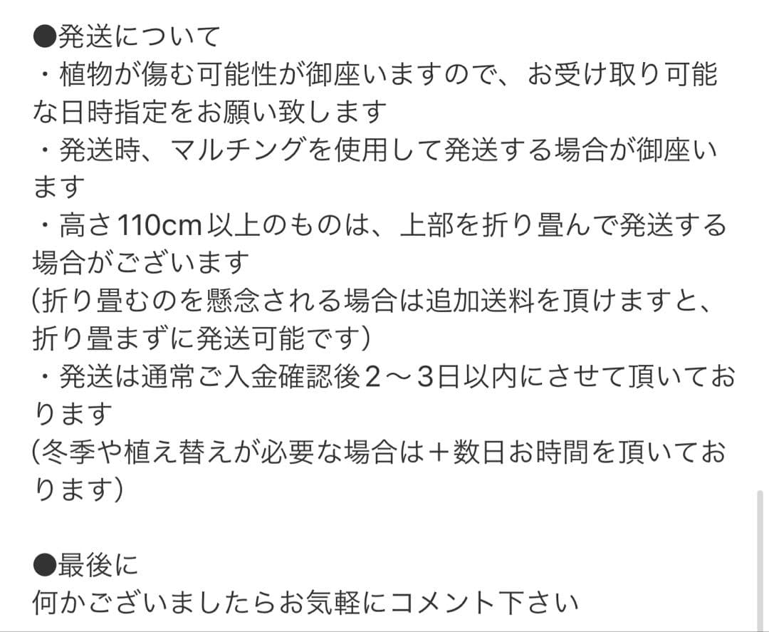 ［現品］【珍しい】10番　奄美姫ソテツ　盆栽造り　約7号　蘇轍　観葉植物　陶器鉢