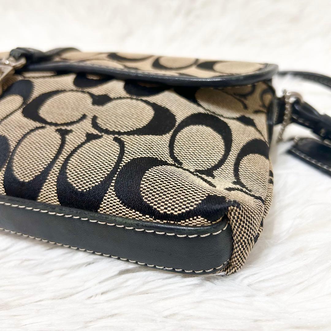 保存袋付属✨COACH アクセサリーポーチ ワンショルダー レザー シグネチャー