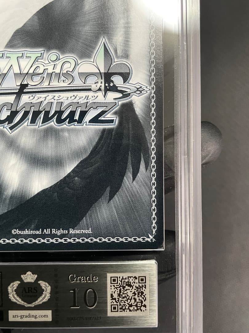 【ARS10】ラフィーsp