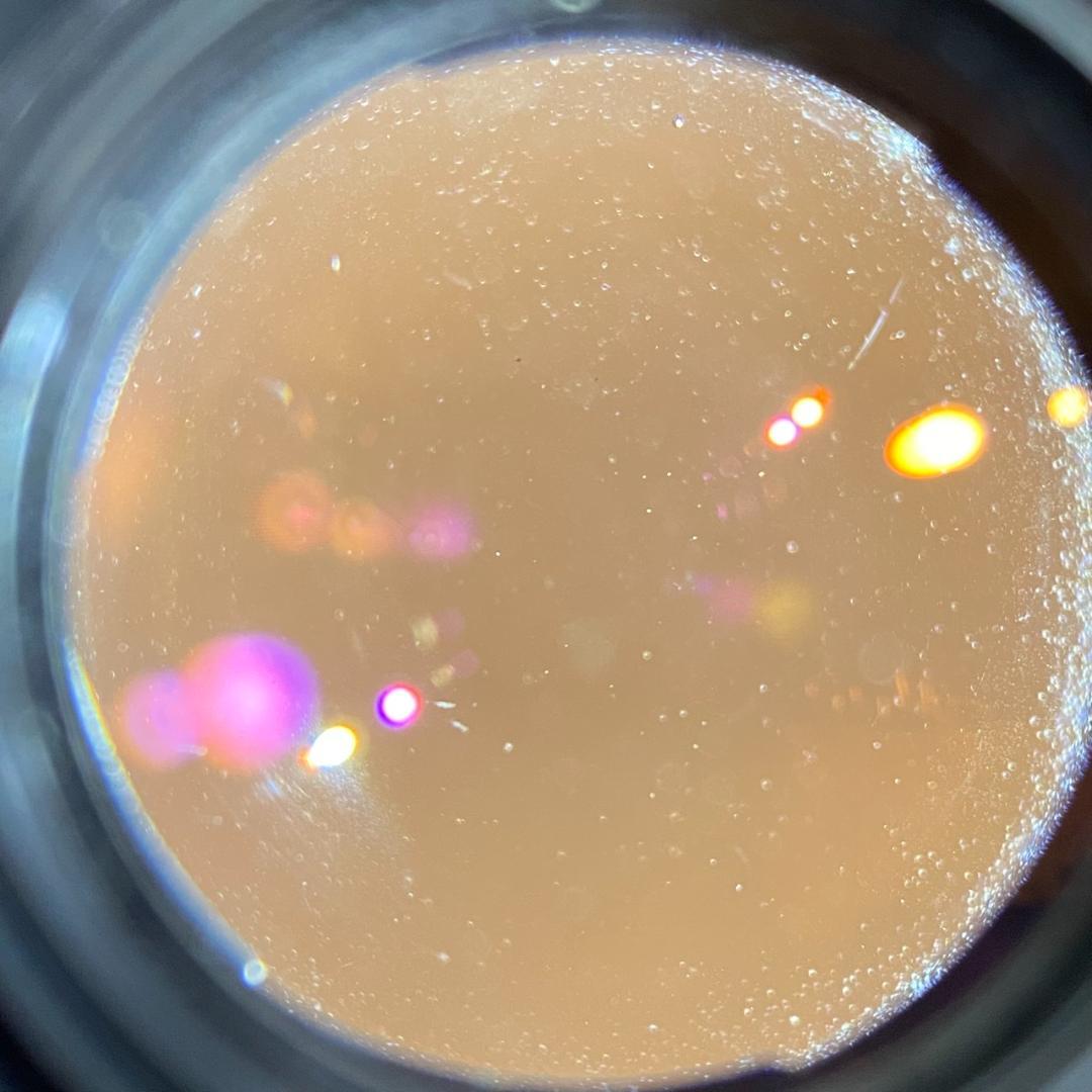 レンズ(単焦点) Carl Zeiss Jena Pancolar MC 50mm f1.8