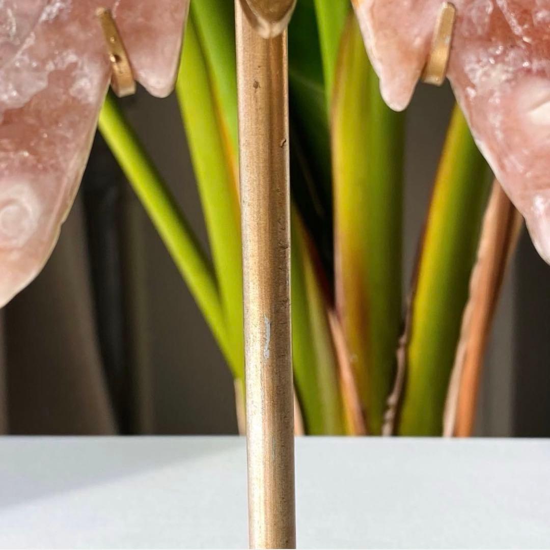 ヤシの実様　お受け取りまでのご確認用ページく