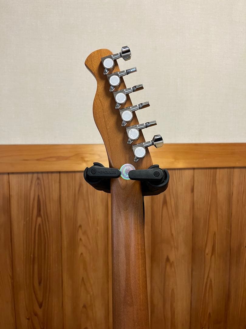 ギター Bacchus BTE-1-RSM SFG