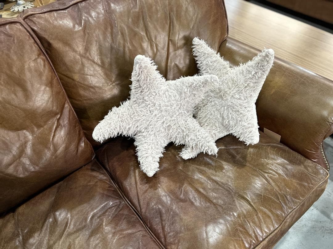 【セット】Ron Herman / ロンハーマン　BigStuffed　ヒトデ