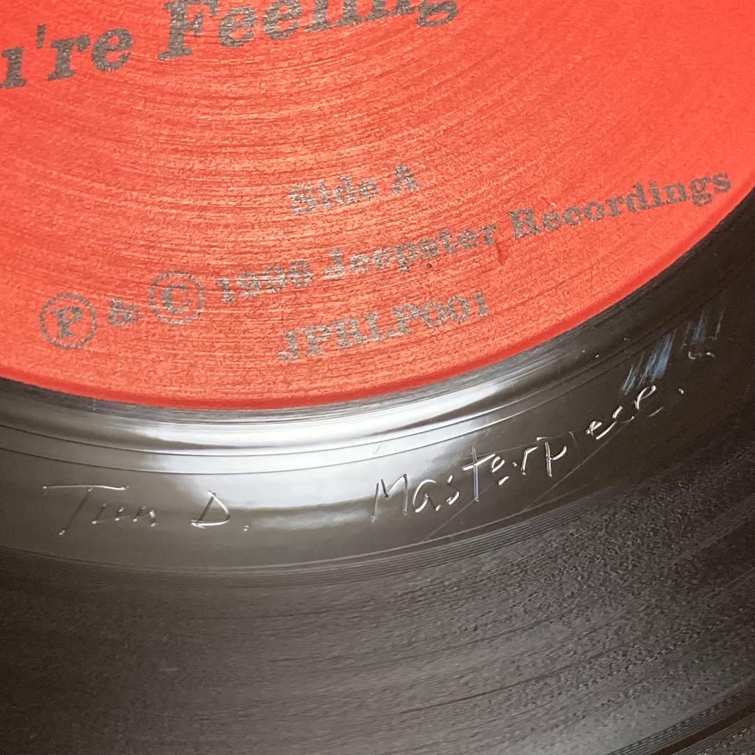 Belle and Sebastian LP レコード UKオリジナル