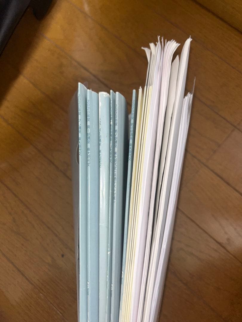 東大現代文 東大特進