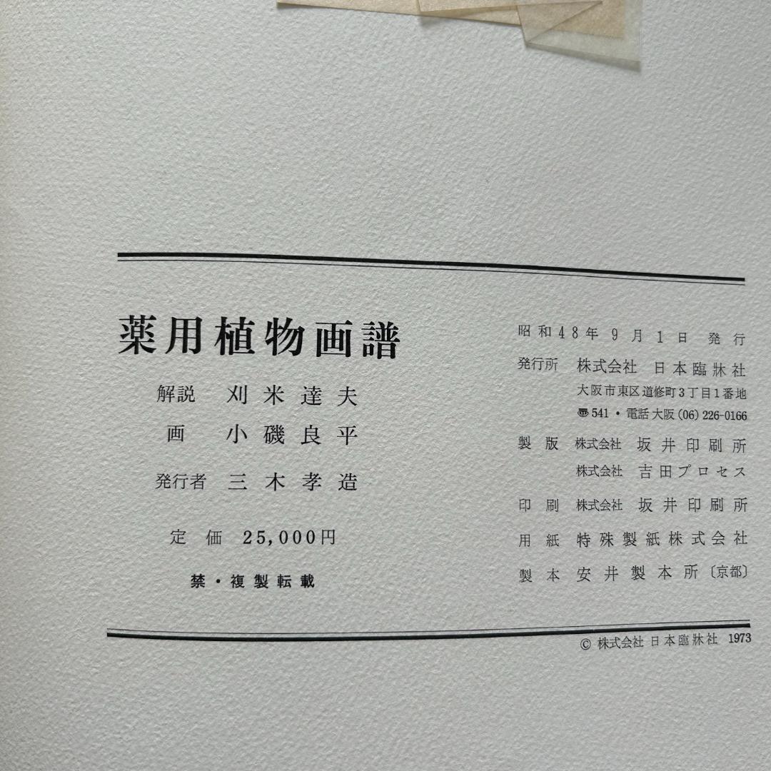 初版！判子＆カバーあり！薬用植物画譜 /小磯良平 刈米達夫 静物画