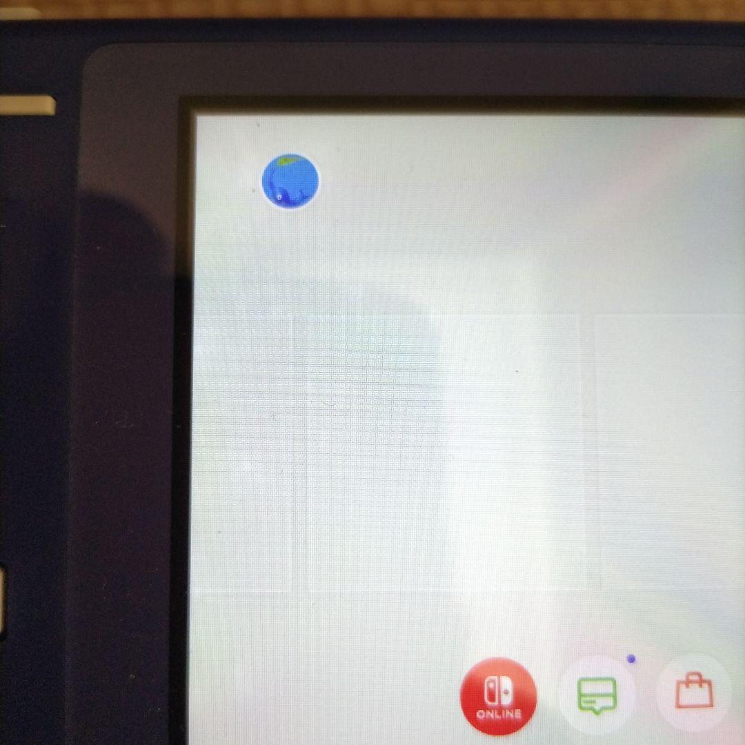 Switchライト　ブルー＆グレー