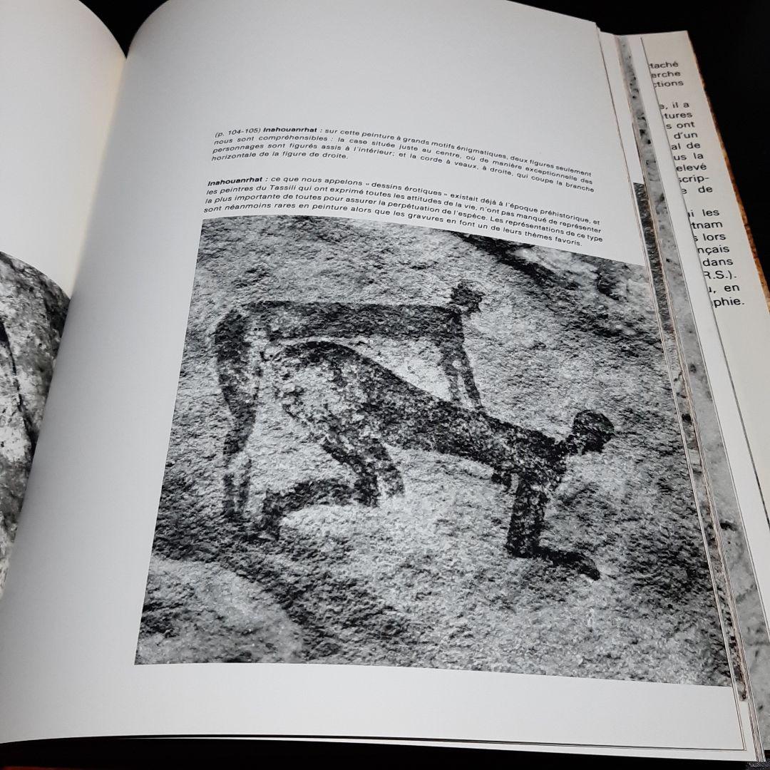 Tassili n'Ajjer タッシリ ナジェール・先史時代のアート（仏語版）