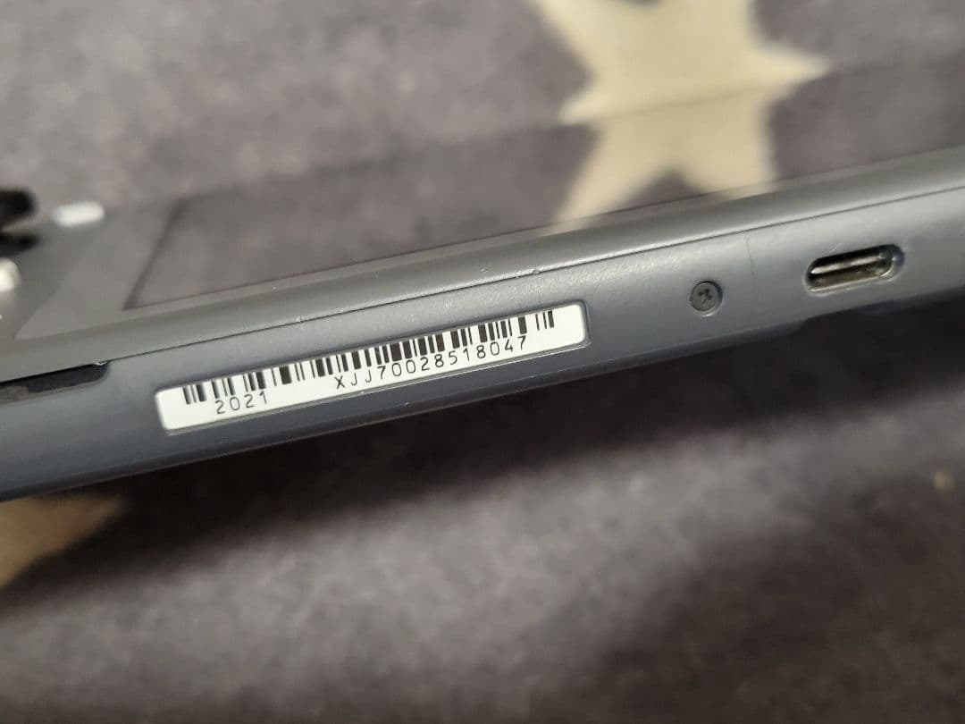 Nintendo Switch Nintendo Switch Light