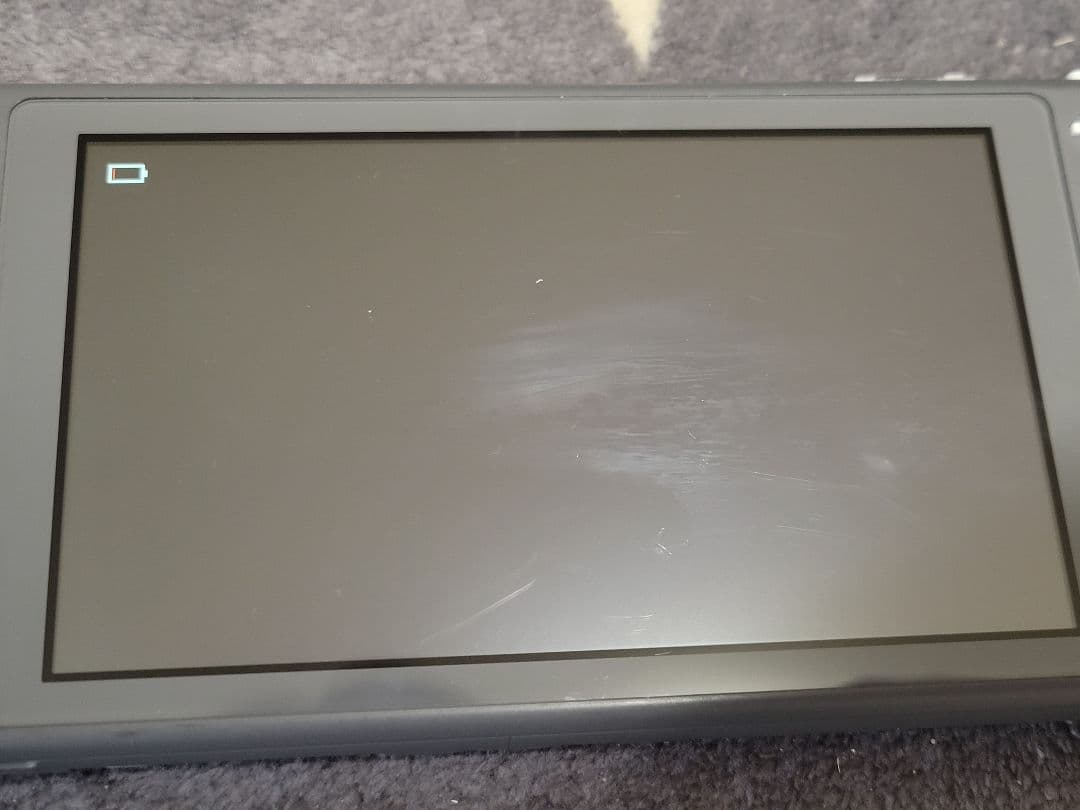 Nintendo Switch Nintendo Switch Light