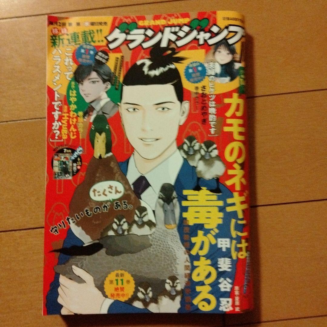 グランドジャンプ 2025年 全24巻セット