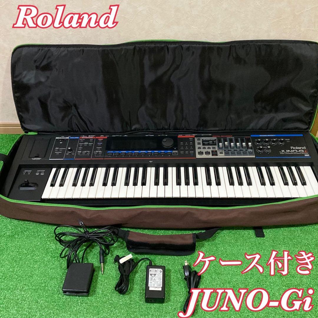 Roland JUNO-GI ローランド シンセサイザー2way ソフトケース
