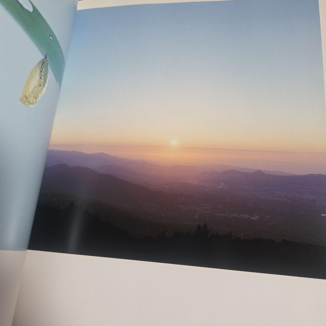 川内倫子　AILA 初版本