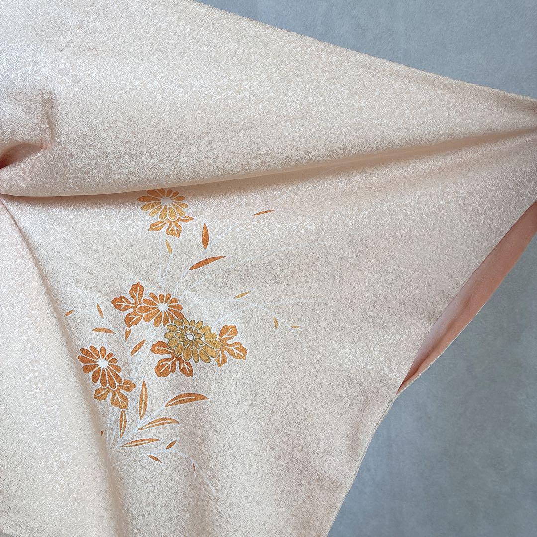 〈長襦袢半衿➕〉付け下げ　フルセット　着物　正絹　ロング丈　杏色　おしどりJ9