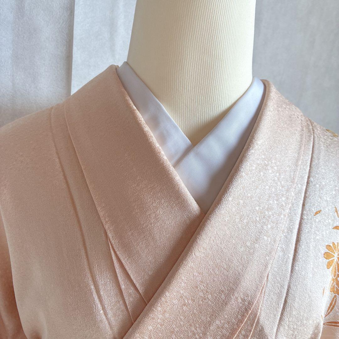 〈長襦袢半衿➕〉付け下げ　フルセット　着物　正絹　ロング丈　杏色　おしどりJ9