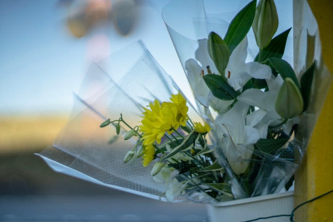 ZENIT HELIOS-40-2 85mm F1.5 Canon EF用