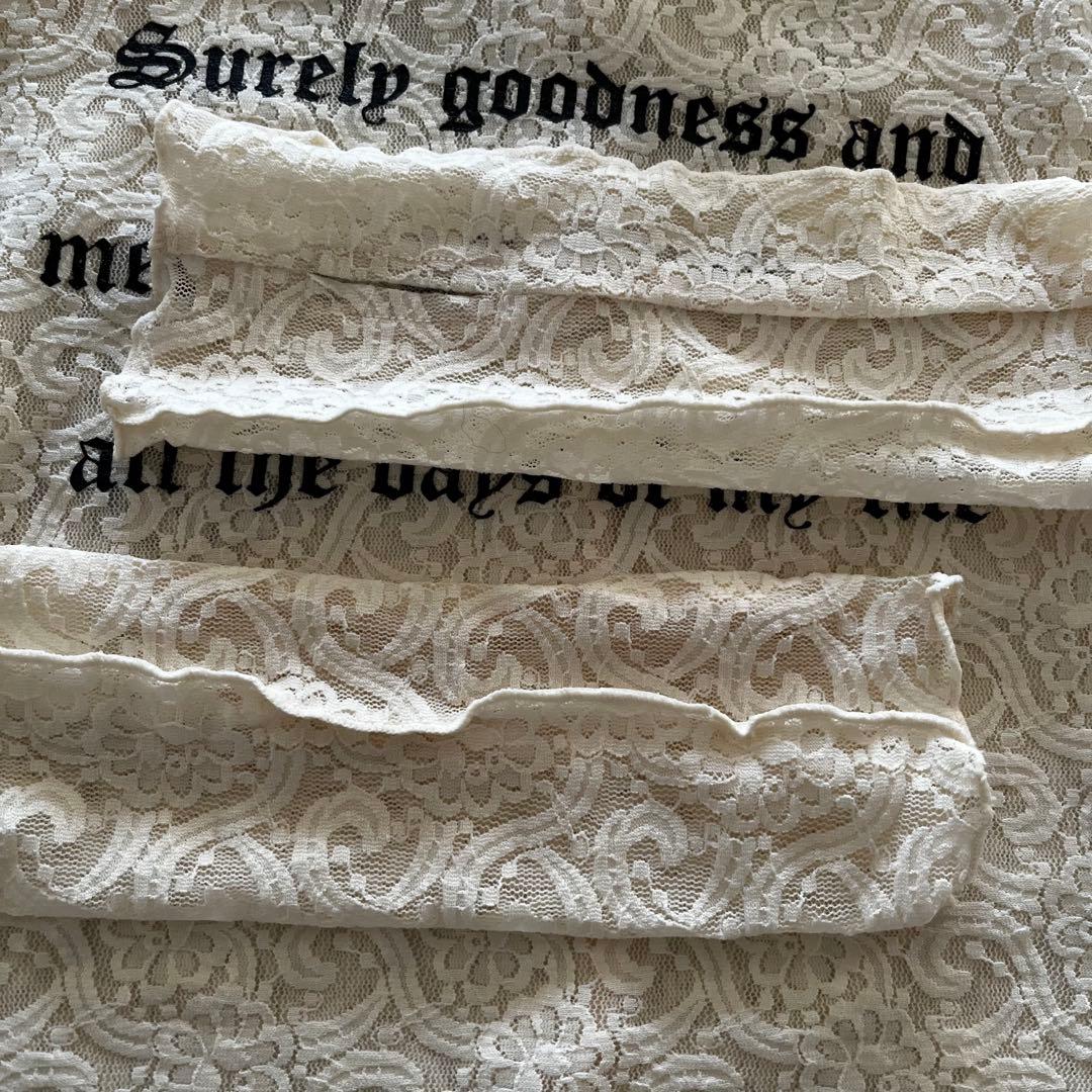 プランクプロジェクト　レースシアープリントカットソー　ホワイト　長袖　シースルー