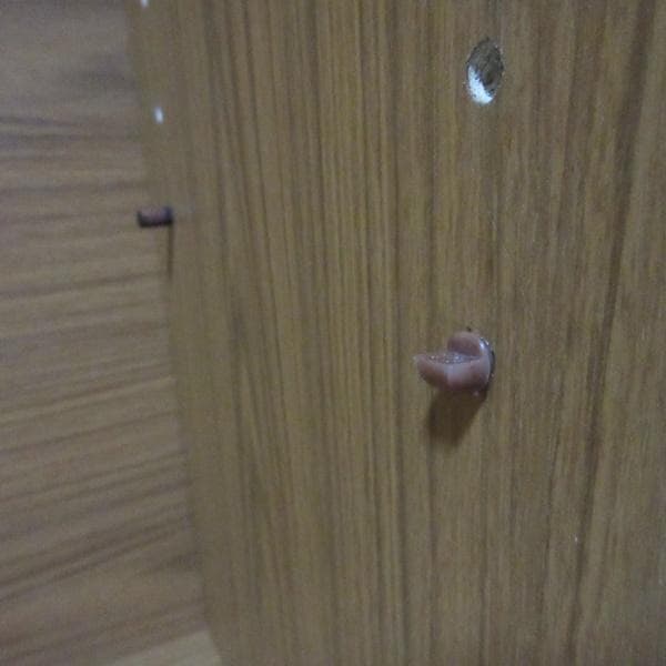 イギリス ビンテージ 家具 ブックケース 本棚 書棚 収納 英国 6913d