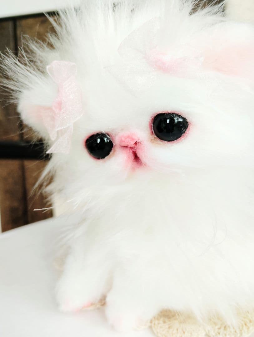 きゅるんオメメ♡子猫のレモンちゃん♡エキゾチック♡アートドール♡ぬいぐるみ♡