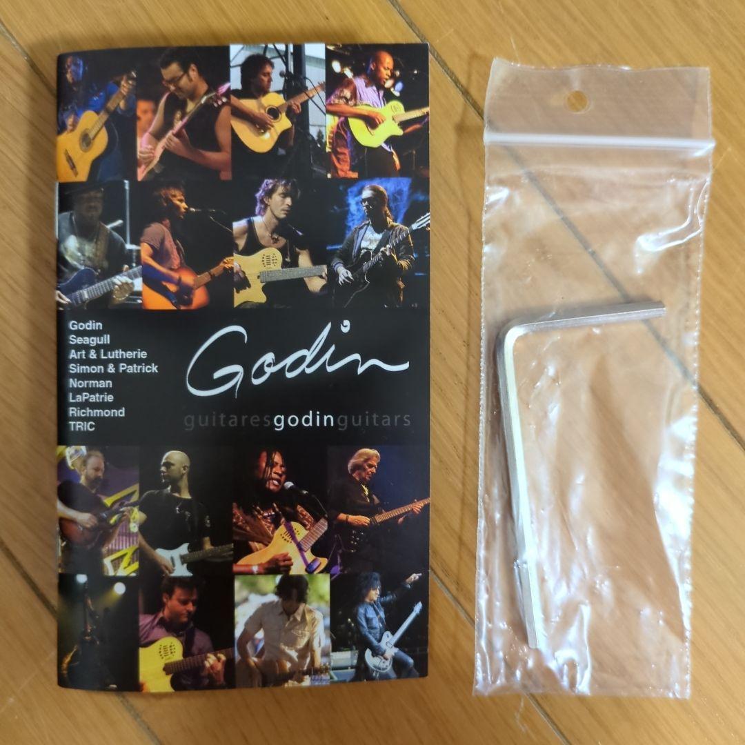 Godin 5th Avenue アコースティックギター ギグバッグ付