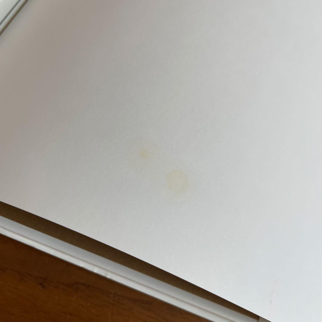 洋書 PANE ERIC TREUILLE URSULA FERRIGNO