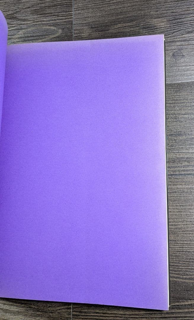 洋書　Valentine Hugo 1887-1968