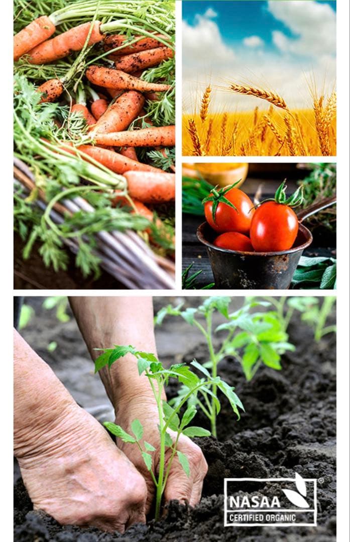 bubs Organic 1 (0~6 Months ) 800g 6缶セット