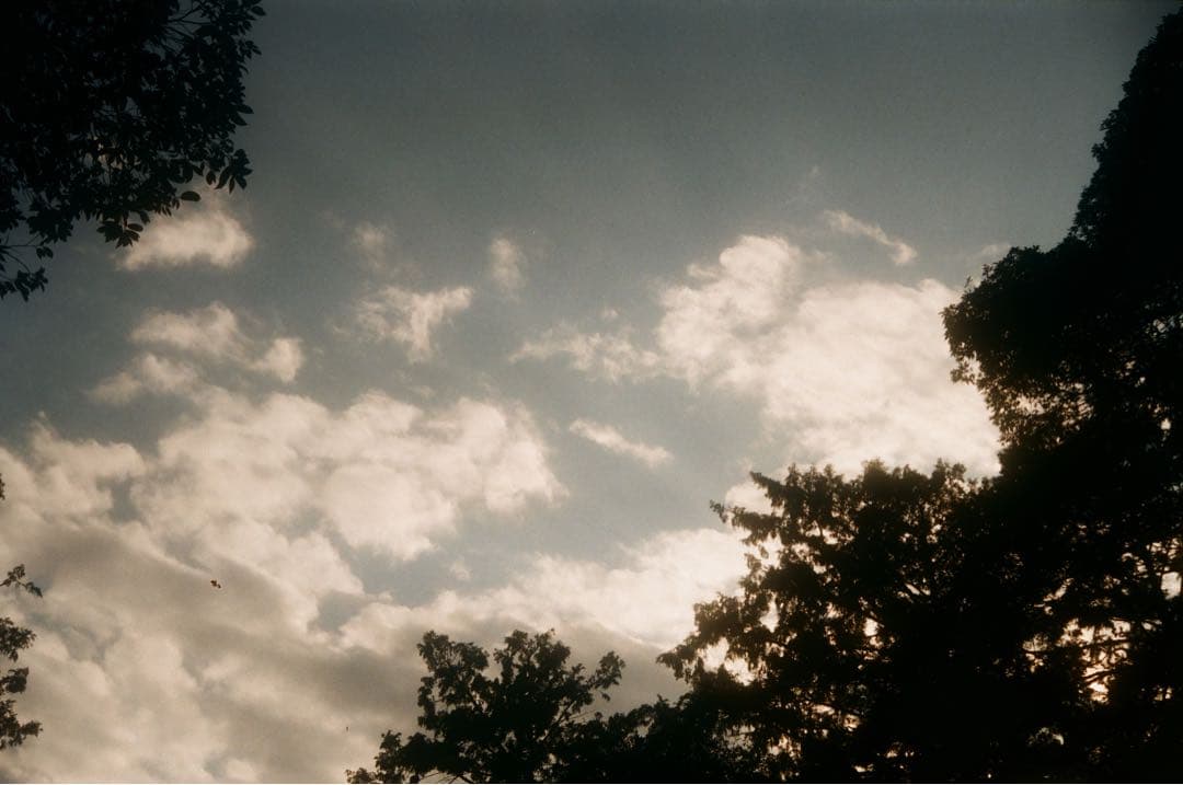 Ricoh 35 delux レンジファインダー / ライカM3 M2