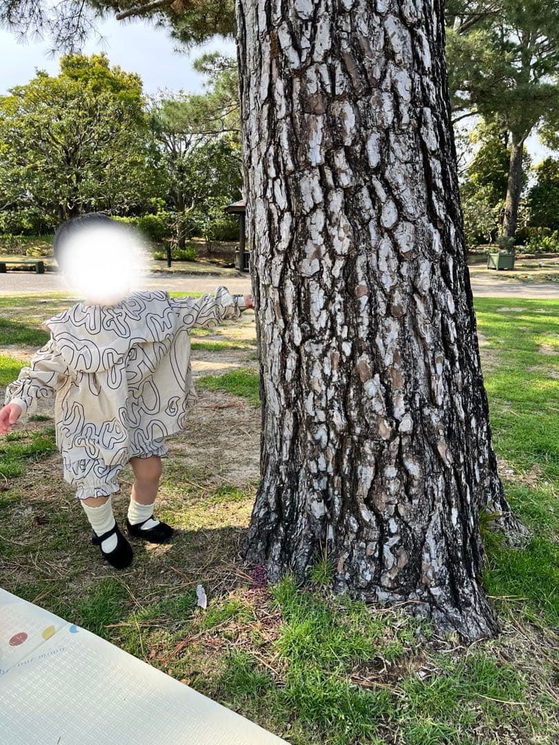 値下　frankygrow フランキーグロウ シャツM 100 110